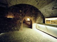 Castle Mildenstein 13 Cellat